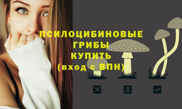 COCAINE Краснотурьинск